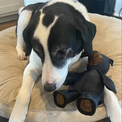 Tough Bear Dog Toy for Chewers